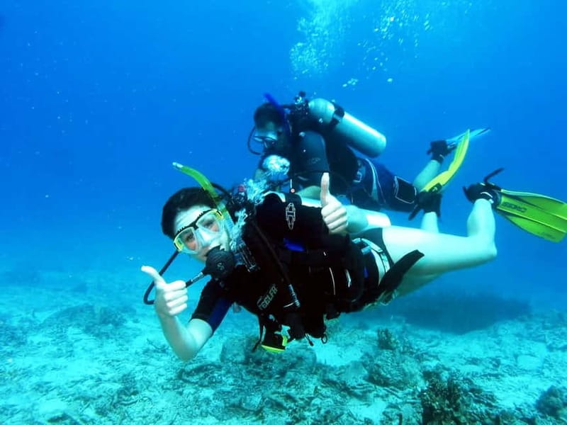 Salou: Scuba Diving for beginners with hotel pickup - What the two-hour Salou session is really like