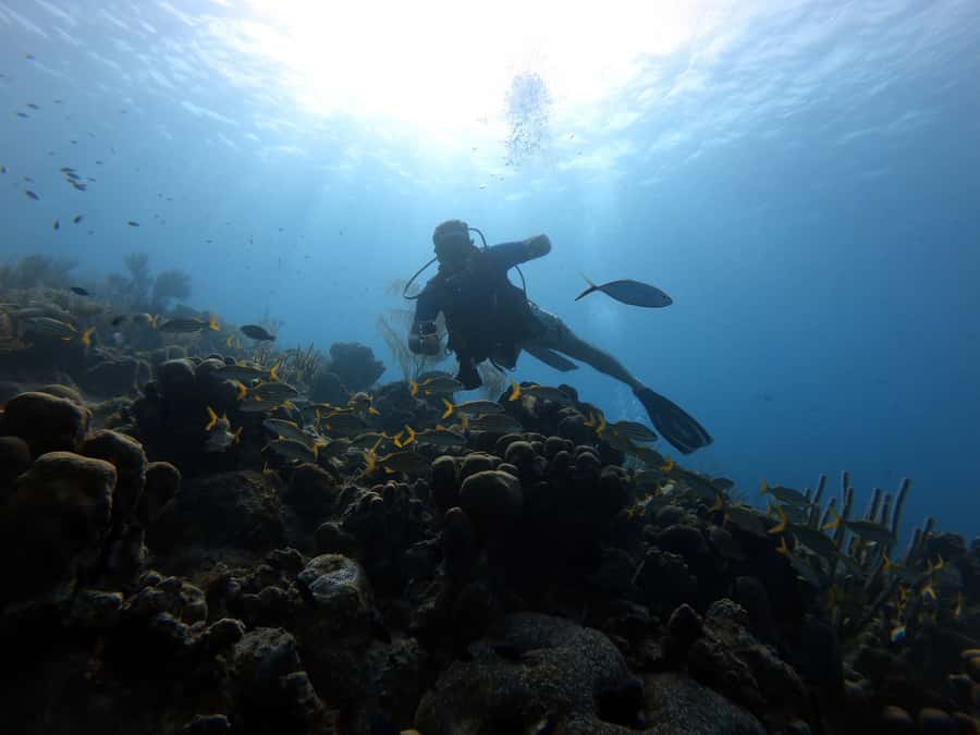 San Andres: Scuba Diving Experience with Hotel Pickup - Why Big Mamá makes a good first underwater outing