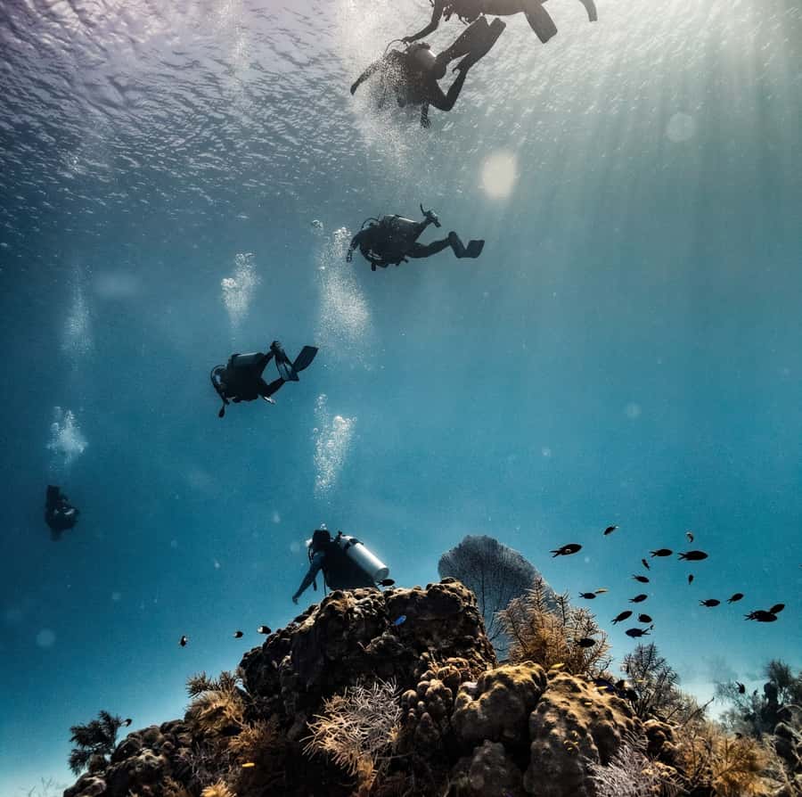 San Andres: Scuba Diving Experience with Hotel Pickup - What you wear and what the $50 covers
