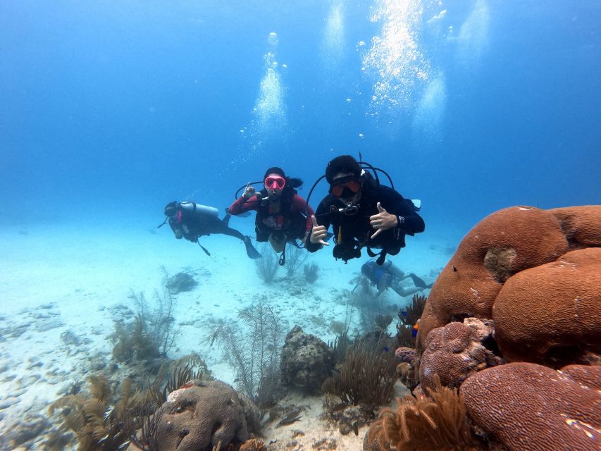 San Andres: Scuba Diving Experience with Hotel Pickup - The journey to Big Mamá and the 12-meter limit