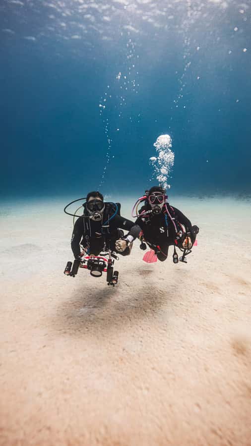 San Andres: Scuba Diving Experience with Hotel Pickup - The instructors are the main reason beginners enjoy it