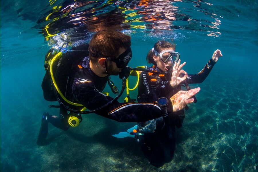 Santa Cruz de Tenerife: Beginner's Diving & Introduction - What the three-hour session is really like