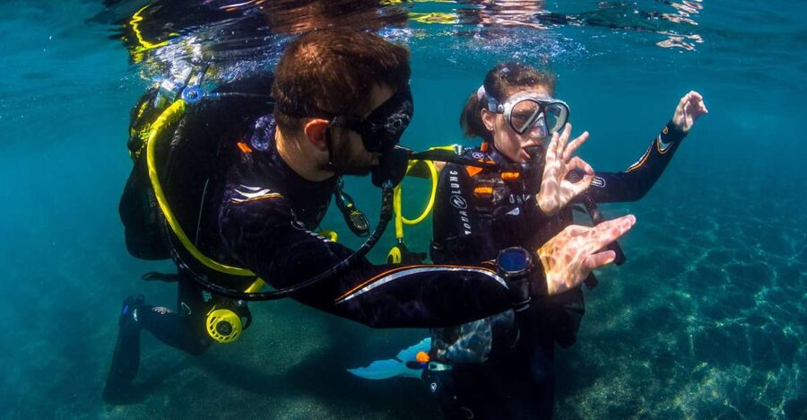 Santa Cruz de Tenerife: Beginner's Diving & Introduction - Learning the equipment before entering the sea