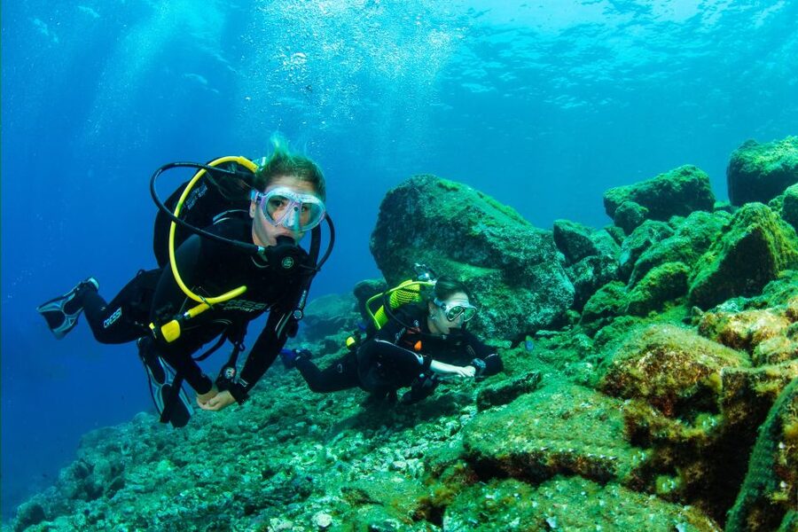 Santa Cruz de Tenerife: Beginner's Diving & Introduction - The 30 to 45-minute underwater session