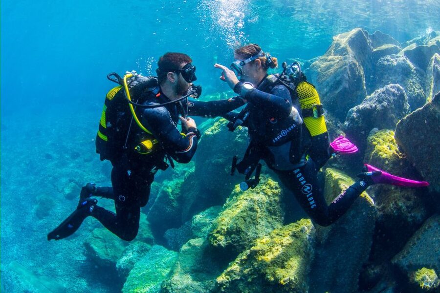 Santa Cruz de Tenerife: Beginner's Diving & Introduction - Who should book this Santa Cruz experience?