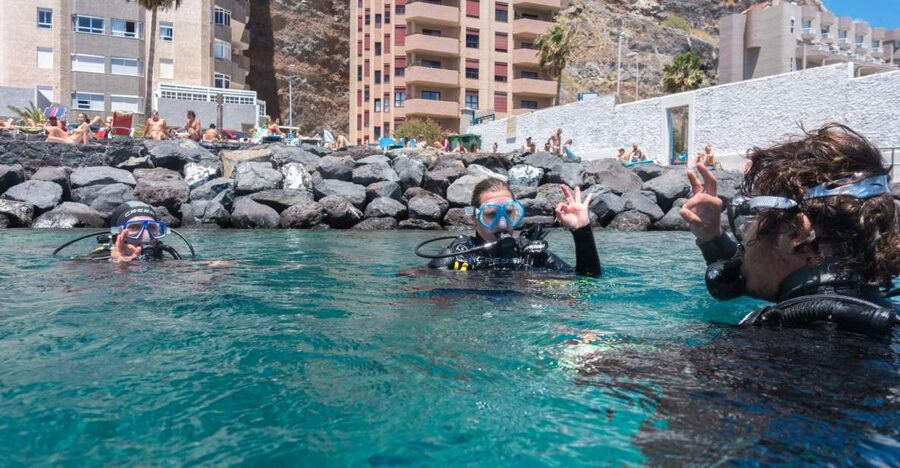 Santa Cruz de Tenerife: PADI Introductory Dive - One hour in Radazul Bay
