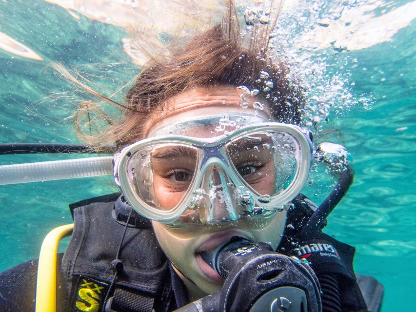 Santa Ponsa: Try Scuba Diving in a Marine Reserve - The 2.5-hour schedule, step by step