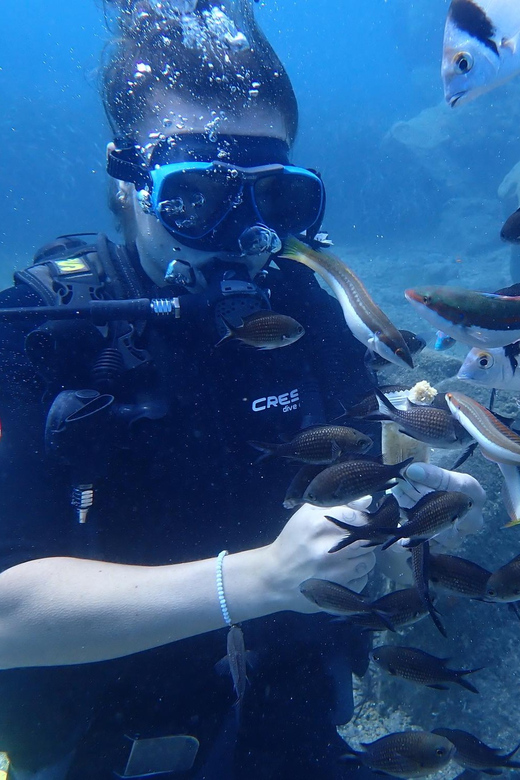 Santorini: Scuba Diving - Who Will Get the Most From This Santorini Activity