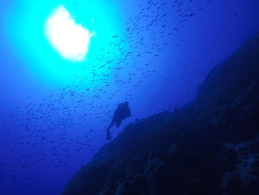 Santorini: Scuba Diving Experience for Beginners - How the Experience Feels for a Nervous Beginner