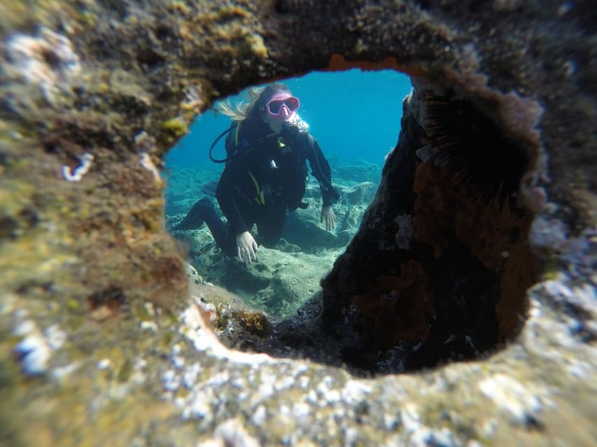 Santorini: Scuba Diving Experience in Caldera for Beginners - Timing, cancellation, and practical planning