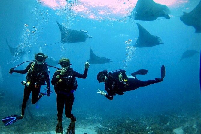 Sanur Open Water Course learn diving in 3 Days - Get certified & Dive everywhere - Day One: Pool Skills in Sanur
