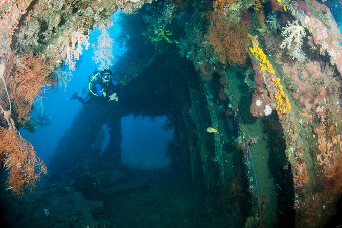 Sanur Open Water Course learn diving in 3 Days - Get certified & Dive everywhere - Small Groups and Instructor Support