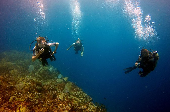 Saona Diving - Is $260 a fair price?