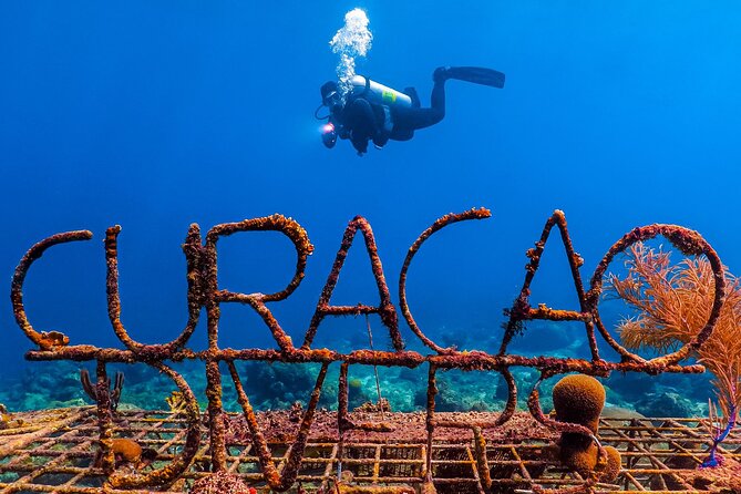 Scuba Beginner Diving and Snorkeling with Lunch From Hurghada - Two stops for snorkeling or beginner scuba