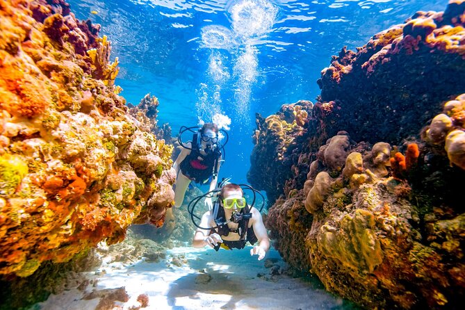 Scuba Beginner Diving and Snorkeling with Lunch From Hurghada - A realistic look at the coral and sea life