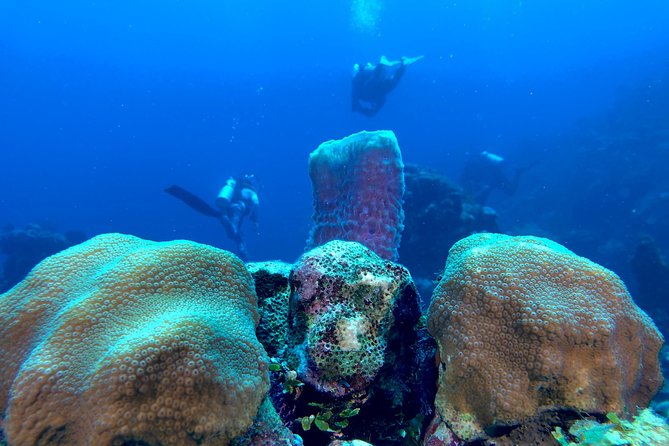 Scuba Certification - Equipment is included, but fit still matters
