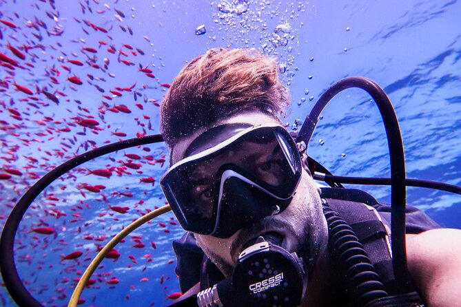 Scuba Dive and Explore Aqaba's Red Sea with a Private Guide - Choosing coral reefs, marine life, or wrecks