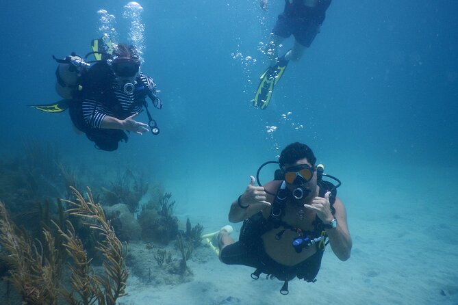 Scuba Dive and Snorkel Private Charter in Puerto Rico - A four-hour sea outing built for different skill levels