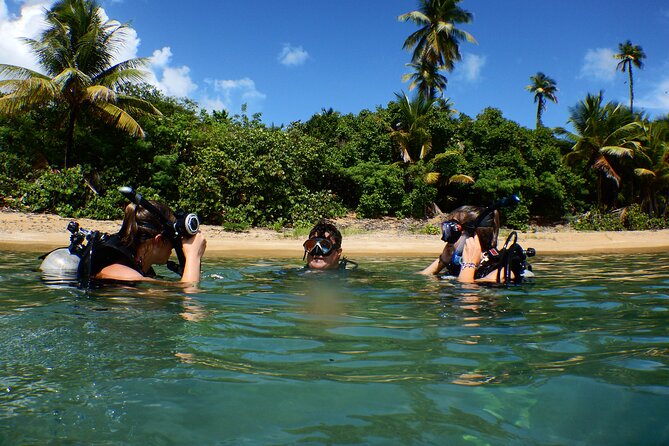 Scuba Dive and Snorkel Private Charter in Puerto Rico - What the certified SCUBA guest can expect