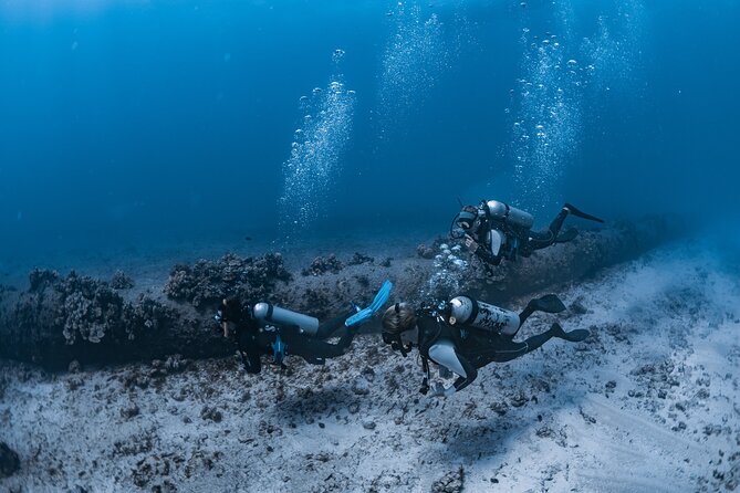 Scuba Dive at Electric Beach - Your first contact with the guide