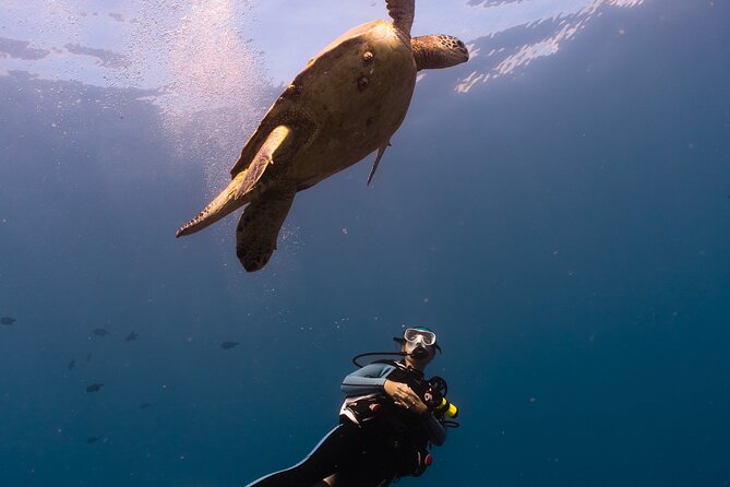 Scuba Dive at Electric Beach - Gear fitting and the safety briefing