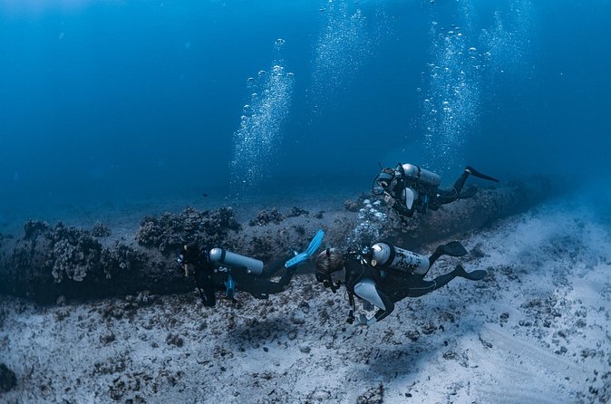 Scuba Dive at Electric Beach - Is $145 a fair price?