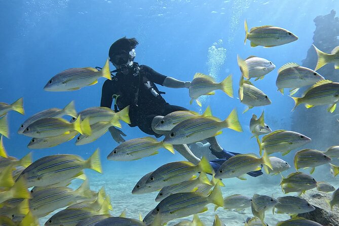 SCUBA Dive at Electric Beach with Photos -No Certification Needed - What makes this Electric Beach experience special