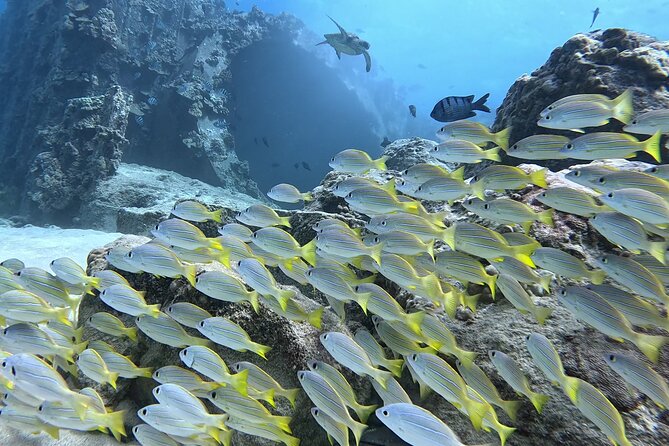 SCUBA Dive at Electric Beach with Photos -No Certification Needed - How Randy and Talia shape the experience