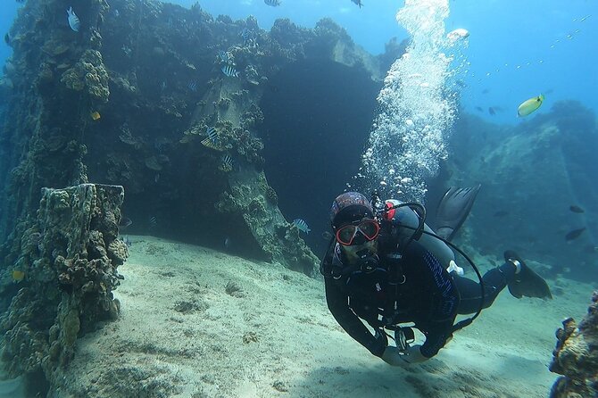 SCUBA Dive at Electric Beach with Photos -No Certification Needed - Who should book this activity