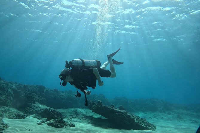 SCUBA Dive at Electric Beach with Photos -No Certification Needed - What you can see below the surface