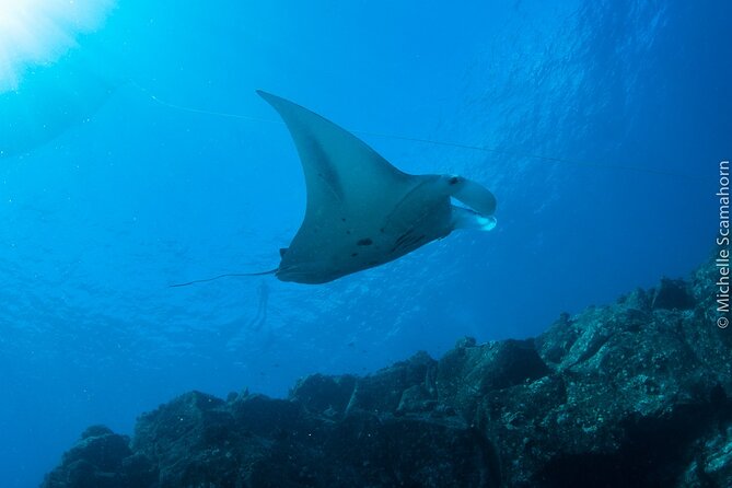 Scuba Dive at Ni’ihau (Forbidden island) - Key points to know before booking
