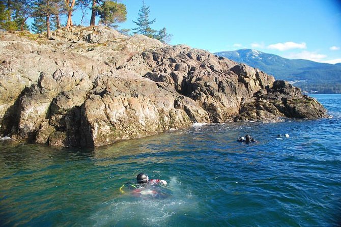 Scuba Dive Boat Charter in Vancouver (Certified Divers Only!) - The crew and support for solo divers