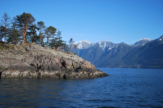 Scuba Dive Boat Charter in Vancouver (Certified Divers Only!) - Warming up with soup and tea