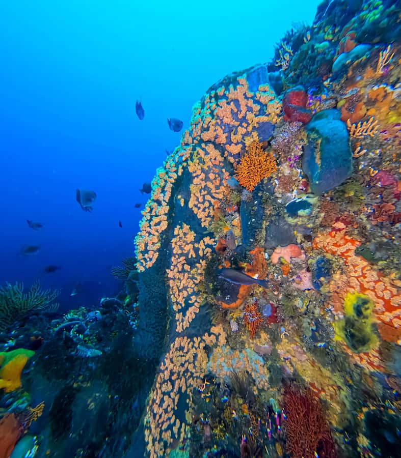 Scuba Dive in Cape Town: 2 Dives for certified divers - Getting ready with a group of eight