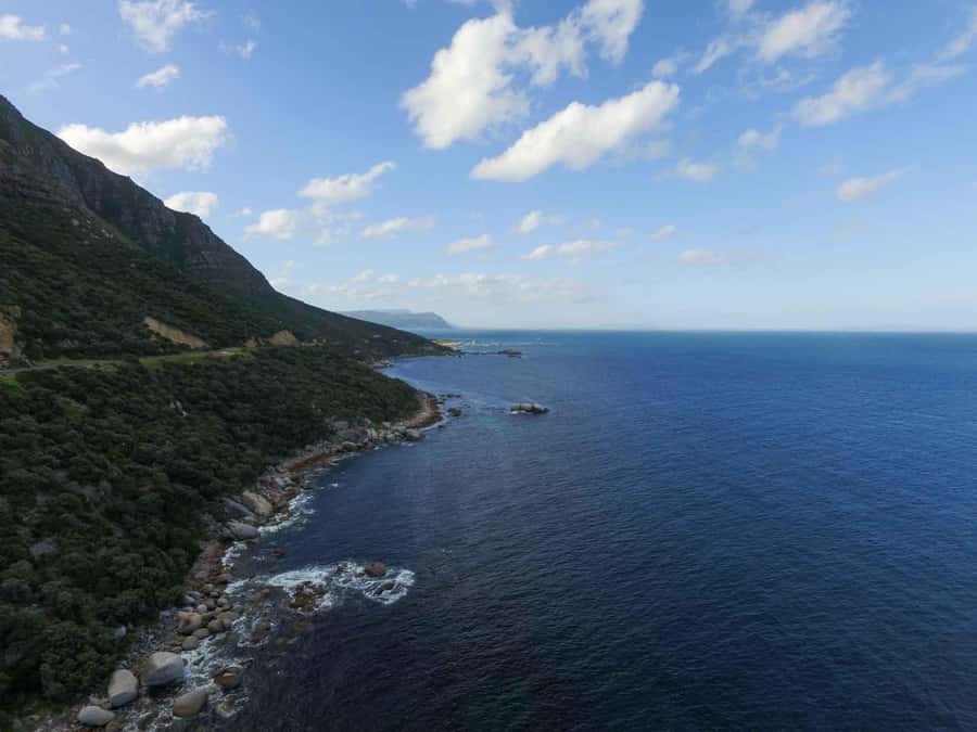 Scuba Dive in Cape Town: 2 Dives for certified divers - Cold water is part of the bargain