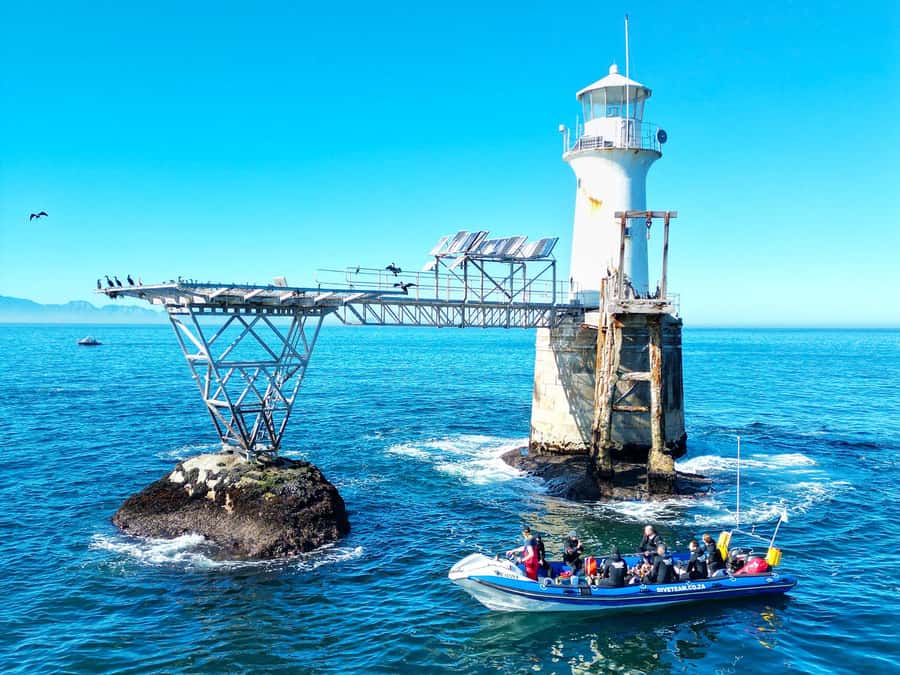 Scuba Dive in Cape Town: 2 Dives for certified divers - The boat ride across False Bay