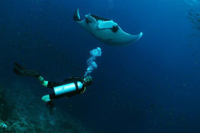 Scuba Dive in Koh Lanta, Thailand - Reaching Koh Haa by fast boat