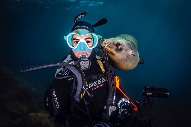 Scuba Dive in La Paz: Sea Lions, Turtles, Fish Schools and Wrecks - Why the six-person limit matters