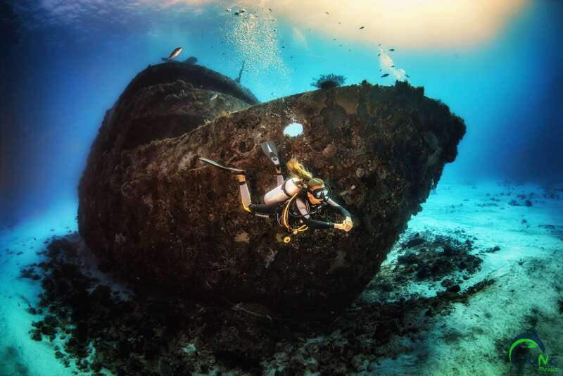Scuba Dive in Playa del Carmen - 2 Dives (Certified divers) - The first one-hour reef session
