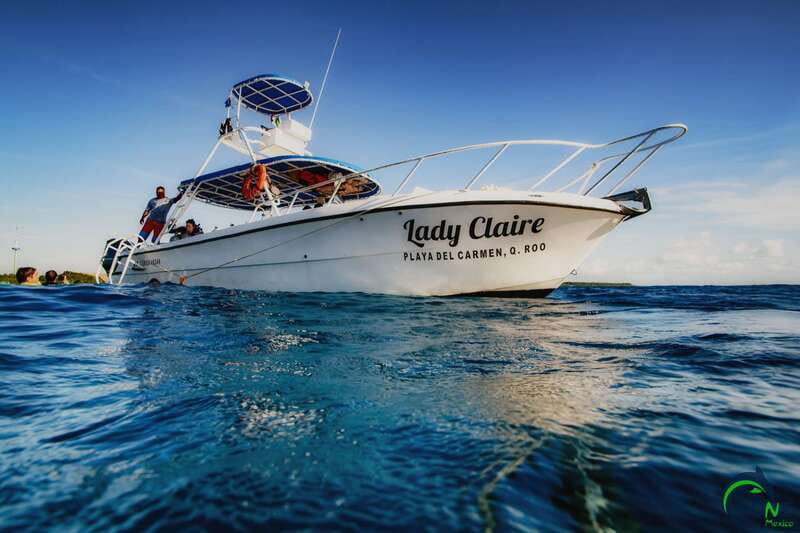 Scuba Dive in Playa del Carmen - 2 Dives (Certified divers) - The second one-hour reef session
