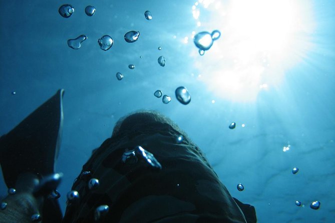 SCUBA DIVE: Kallithea's Underwater Exploration - What your six hours at Kallithea Reef look like