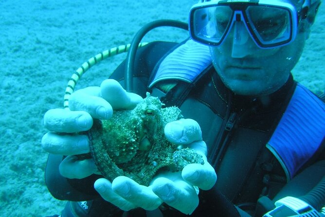 SCUBA DIVE: Kallithea's Underwater Exploration - Is $101.27 a fair price?
