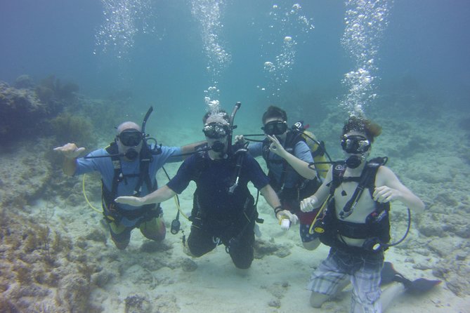 SCUBA Dive Key Largo Reef (min 6 divers) - Key points at a glance