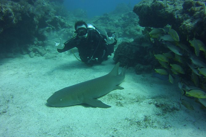 SCUBA Dive Key Largo Reef (min 6 divers) - Leaving Island Ventures for the 40-minute ride