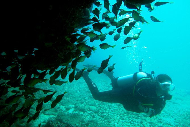 Scuba Dive Ningaloo Reef - Safety first, then time underwater