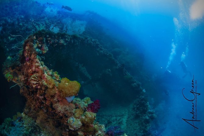 Scuba Dive the S.S. Yongala Wreck on the Great Barrier Reef. - Why the SS Yongala is such a special underwater site