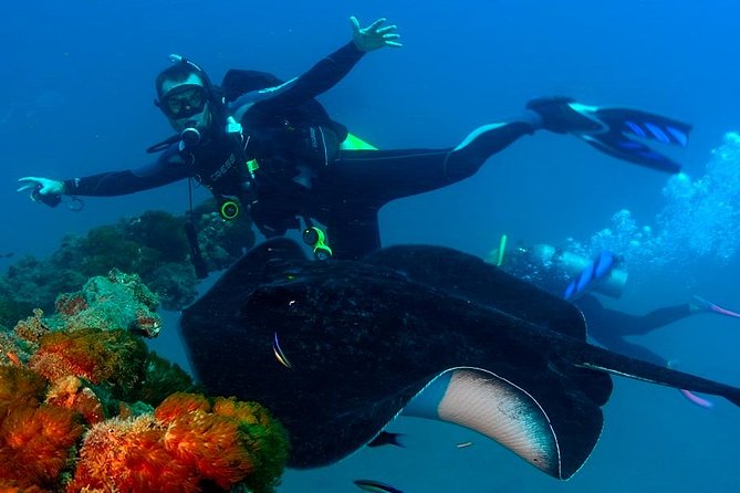 Scuba Dive the S.S. Yongala Wreck on the Great Barrier Reef. - Who should book this Townsville excursion?