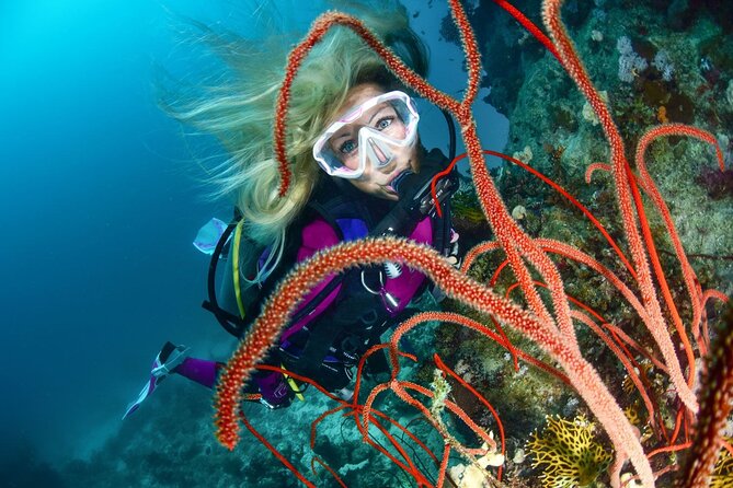 Scuba dive with sharing transfers - Key points to know before booking