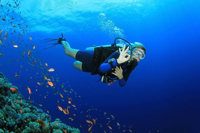 Scuba dive with sharing transfers - Starting with instruction instead of rushing into the water