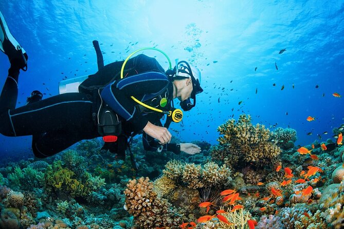 Scuba dive with sharing transfers - Shared pickup and the practical timing